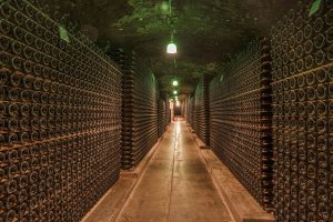 Cave à vin vignoble