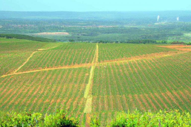 Les principales régions viticoles en France