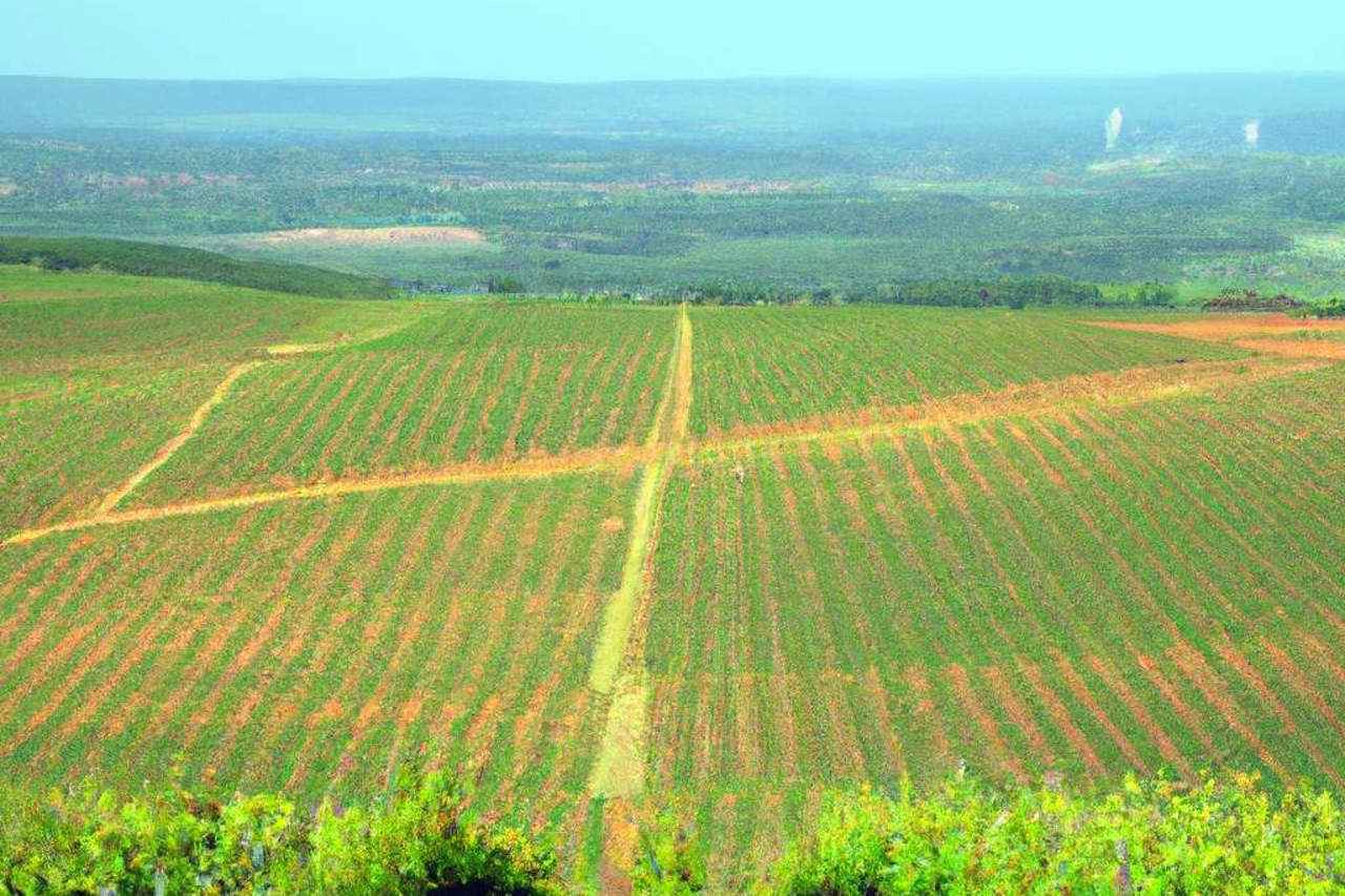 Les principales régions viticoles en France