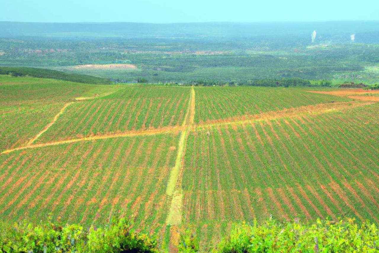 Les principales régions viticoles en France