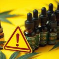 Les dangers du CBD